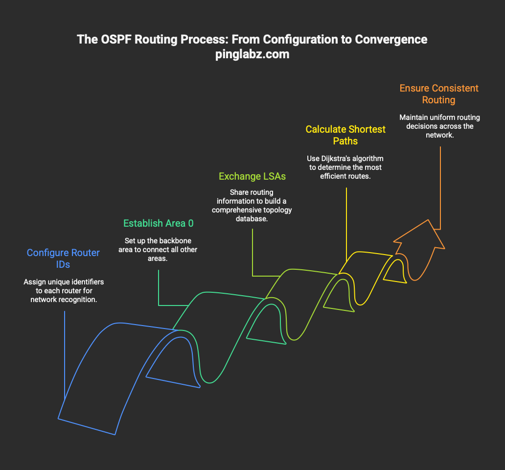 Configure Single Area OSPFv2 on Cisco Routers: Complete Lab Guide