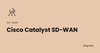 Cisco Catalyst SD-WAN feature image, PingLabz