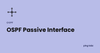 OSPF passive interface feature image, PingLabz