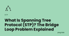 What Is Spanning Tree Protocol (STP)? The Bridge Loop Problem Explained