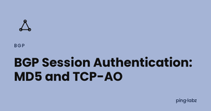 BGP Session Authentication: MD5 and TCP-AO