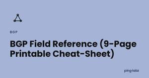 BGP Field Reference (9-Page Printable Cheat-Sheet)