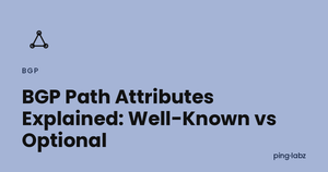 BGP Path Attributes Explained: Well-Known vs Optional