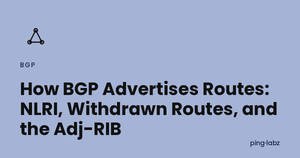How BGP Advertises Routes: NLRI, Withdrawn Routes, and the Adj-RIB