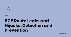 BGP Route Leaks and Hijacks: Detection and Prevention