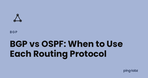 BGP vs OSPF: When to Use Each Routing Protocol