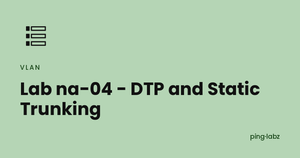Lab na-04 - DTP and Static Trunking