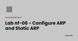 Lab nf-06 - Configure ARP and Static ARP