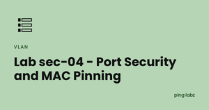 Lab sec-04 - Port Security and MAC Pinning