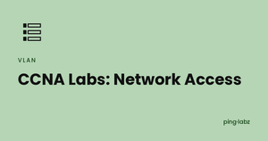 CCNA Labs: Network Access