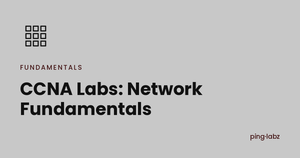 CCNA Labs: Network Fundamentals