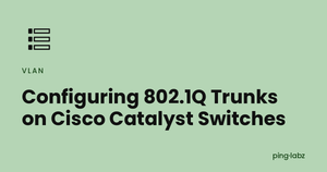 Configuring 802.1Q Trunks on Cisco Catalyst Switches