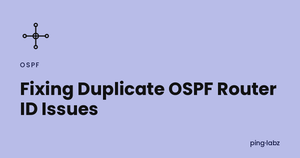 Fixing Duplicate OSPF Router ID Issues