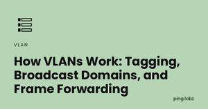 How VLANs Work: Tagging, Broadcast Domains, and Frame Forwarding