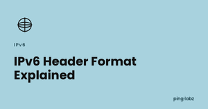 IPv6 Header Format Explained