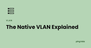 Native VLAN feature image, PingLabz