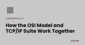 Diagram showing the OSI model and TCP/IP suite