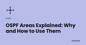 OSPF Areas Explained: Why and How to Use Them