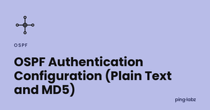 OSPF Authentication Configuration (Plain Text and MD5)
