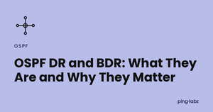 OSPF DR and BDR: What They Are and Why They Matter