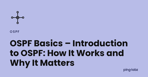 OSPF Basics – Introduction to OSPF: How It Works and Why It Matters