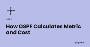 How OSPF Calculates Metric and Cost
