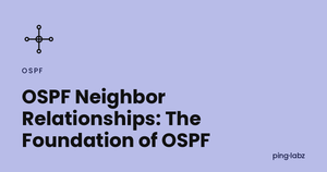 OSPF Neighbor Relationships: The Foundation of OSPF