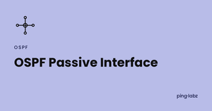 OSPF passive interface feature image, PingLabz