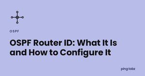 OSPF Router ID: What It Is and How to Configure It