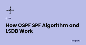 How OSPF SPF Algorithm and LSDB Work