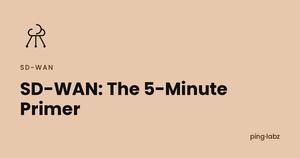 SD-WAN 5-minute primer feature image, PingLabz