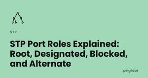 STP Port Roles Explained: Root, Designated, Blocked, and Alternate