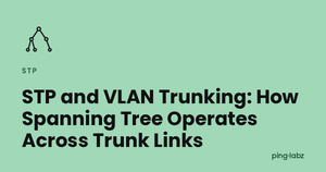 STP and VLAN Trunking: How Spanning Tree Operates Across Trunk Links