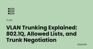 VLAN Trunking Explained: 802.1Q, Allowed Lists, and Trunk Negotiation