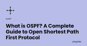 What is OSPF? A Complete Guide to Open Shortest Path First Protocol