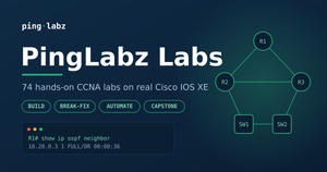 PingLabz Labs