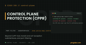 CoPP police policy dropping 709 of 800 flood packets to protect the control plane