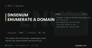 dnsenum DNS enumeration on Kali Linux with real lab output