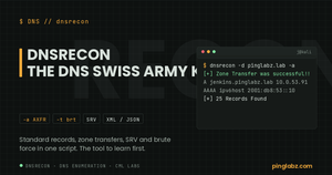 dnsrecon DNS enumeration on Kali Linux with real lab output