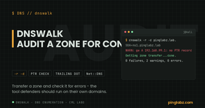 dnswalk DNS enumeration on Kali Linux with real lab output