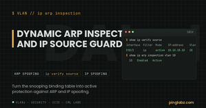IP Source Guard active filter and DAI operational on a VLAN, built on the DHCP snooping table