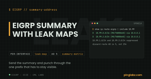 EIGRP leak map - the summary route plus one leaked specific prefix on Cisco IOS XE