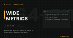EIGRP wide metrics feature image showing Metric version 64bit and rib-scale 128 output