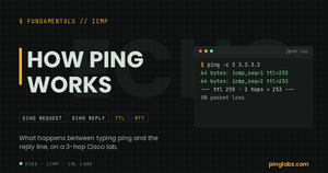 How ping works, terminal showing ICMP echo replies with TTL 253