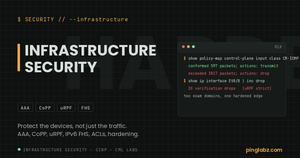 Infrastructure security cluster: CoPP drop counters and uRPF verification drops on Cisco IOS XE