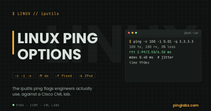 Linux iputils ping flags with loss and jitter output