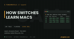 Cisco switch MAC address table output showing dynamic entries per port