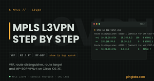MPLS L3VPN configuration on Cisco IOS XE: show ip bgp vpnv4 all output with two route distinguishers