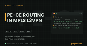 PE-CE routing in MPLS L3VPN: CE2 BGP table showing as-override rewriting the customer AS path