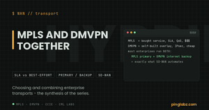 MPLS vs DMVPN - a comparison of purchased-service and self-built-overlay enterprise transports
